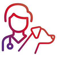 Bravecto Quantum™ - Vet exclusive - Designed to grow veterinary business